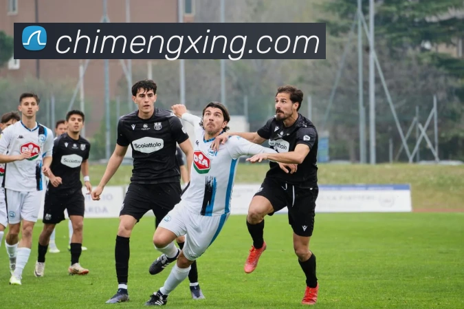 开云手机网页入口平台生态图