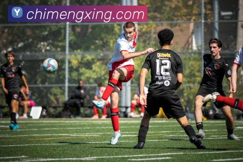 开云手机网页入口全站App 开云手机网页入口全站App